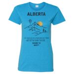 Heavy Cotton Women’s T-Shirt Thumbnail