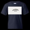 Heavy Cotton Youth T-Shirt Thumbnail