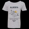 Heavy Cotton Toddler T-Shirt Thumbnail